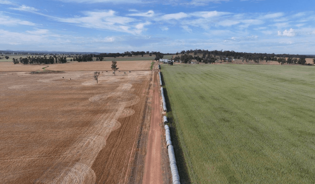 Season Finish, Input Costs See Demand Firm for Quality Country