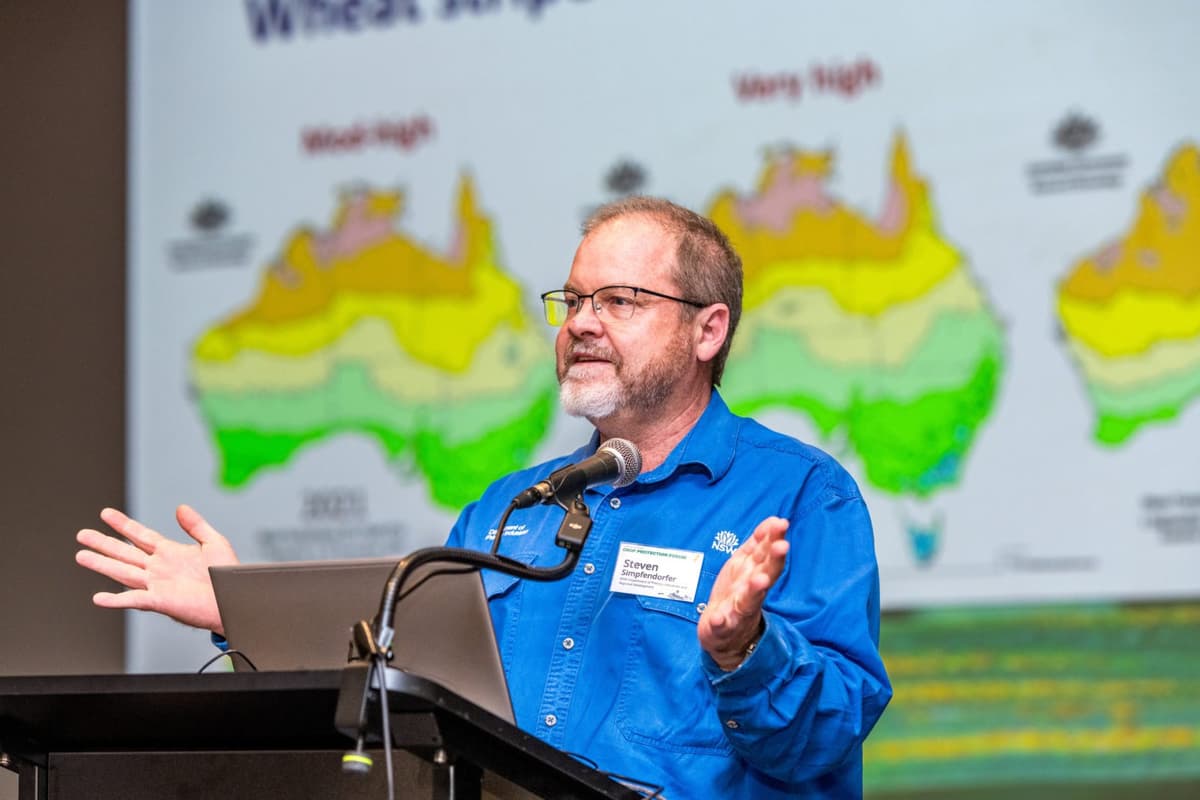 NSW DPIRD Scientists Lead Work Tackling Soil-Borne Diseases