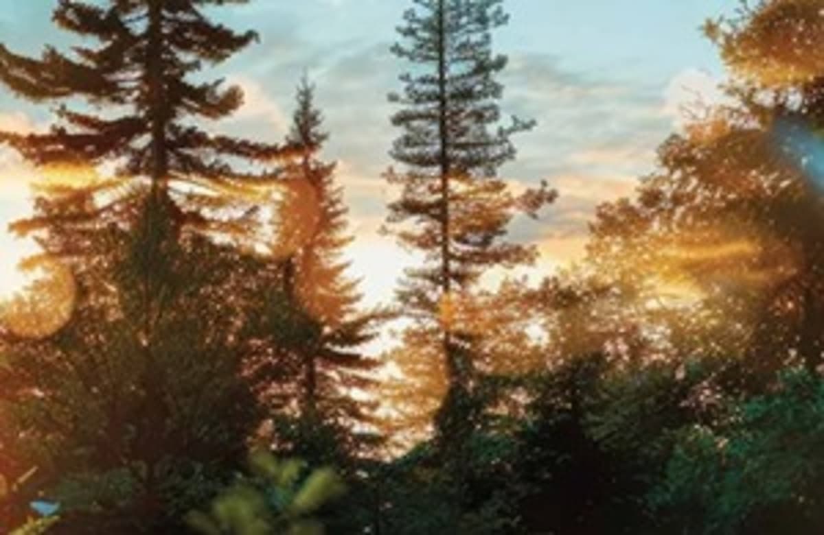 Reimagining Tourism Futures: Six Priorities Shaping the Sector’s Transition