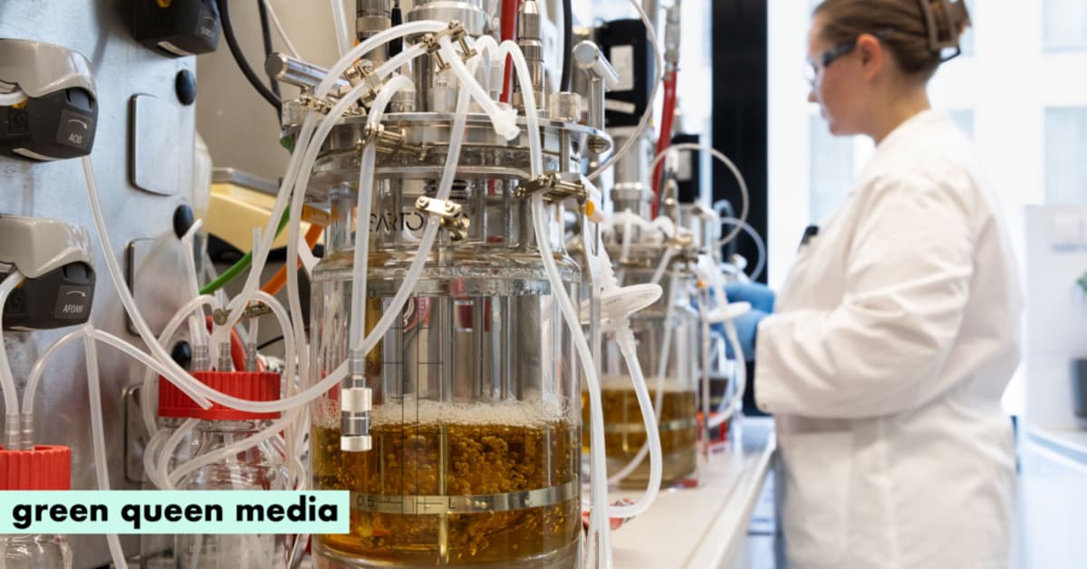 Amyris, Wacker to Develop Precision-Fermented Ingredients for Personal Care