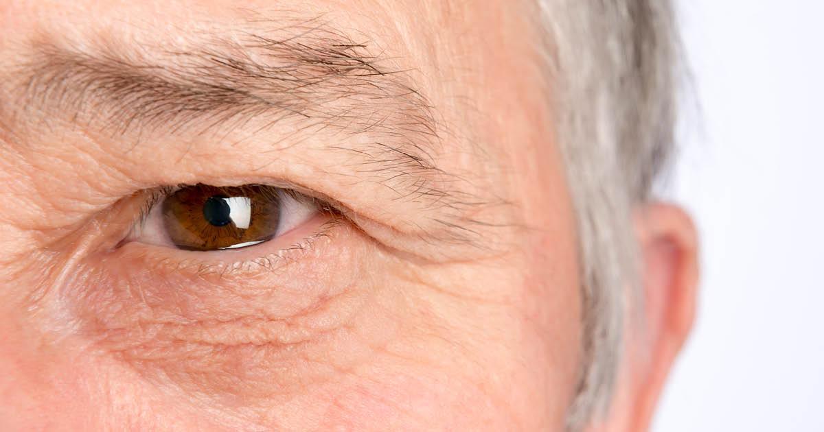 Single Yes-or-No Question May Screen for Low Vision