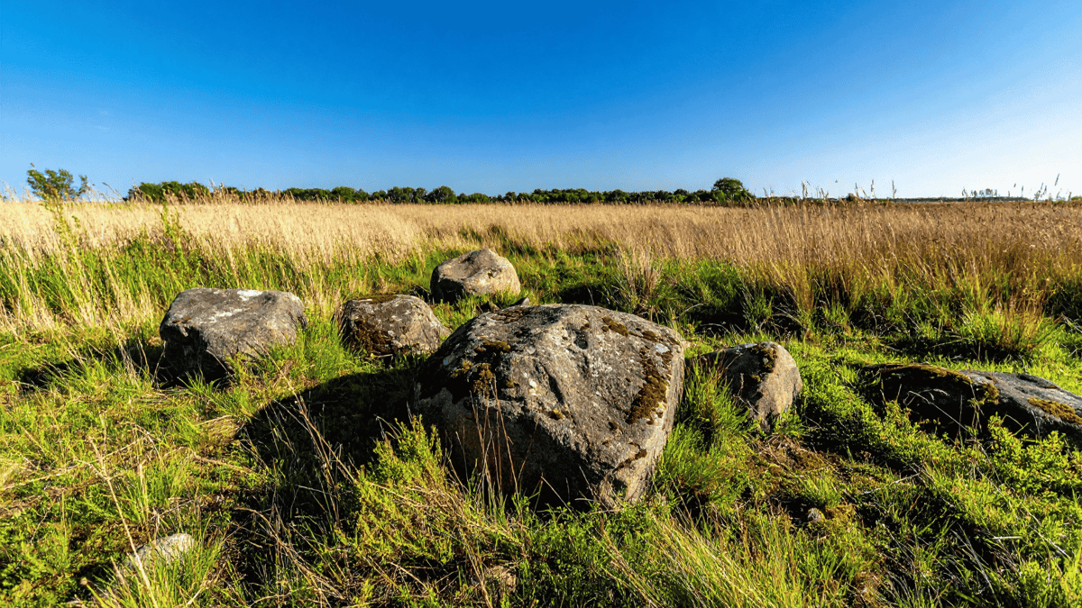 From Accent Pieces to Focal Points — How to Choose and Place Large Stone in an Outdoor Landscape