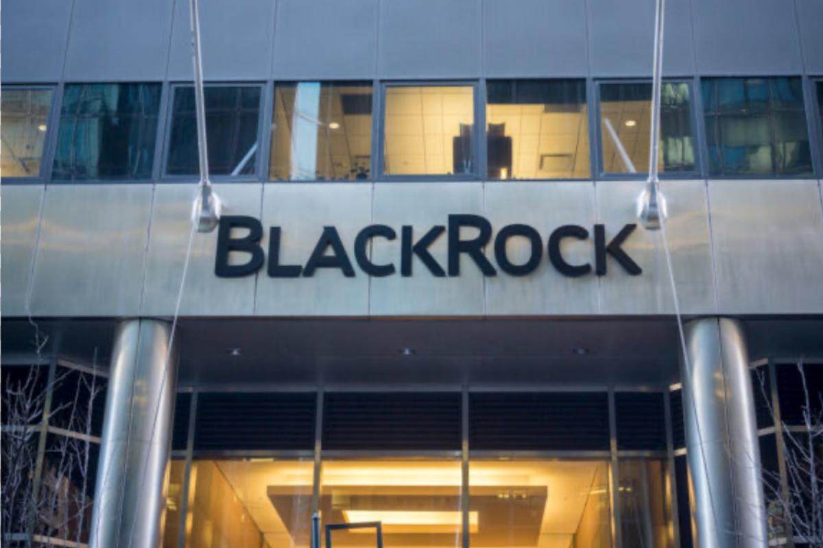 BlackRock Calls on Investors to Diversify Hedge Fund Allocations Amid Heightened Volatility