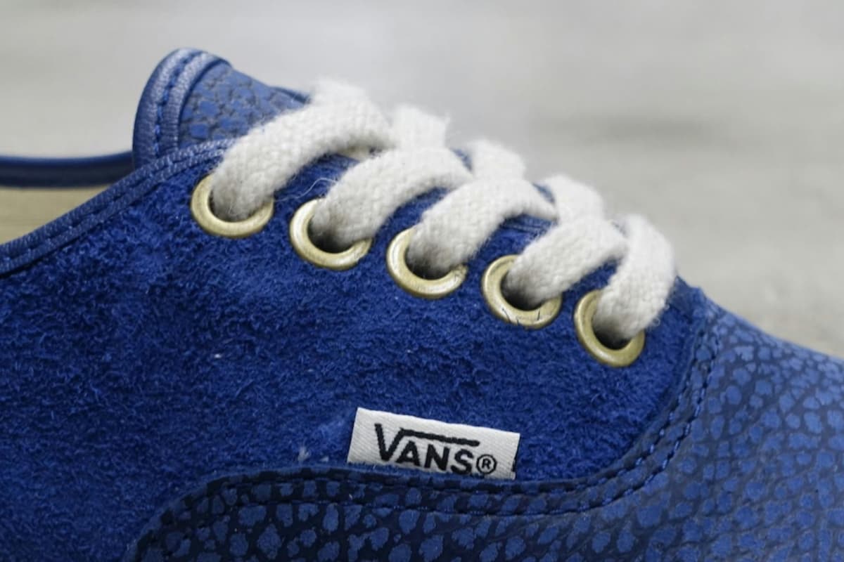 Vans’ Next Vibram-Soled Skate Shoe Is Part Frog