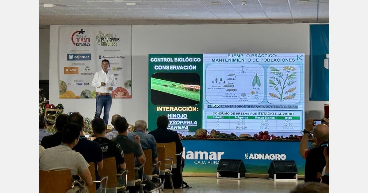 New Strategies for the Effective Biological Control of Thrips Parvispinus