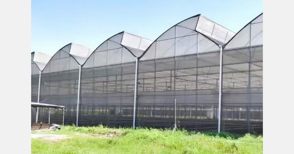Chinese Greenhouse Manufacturer Expands International Reach