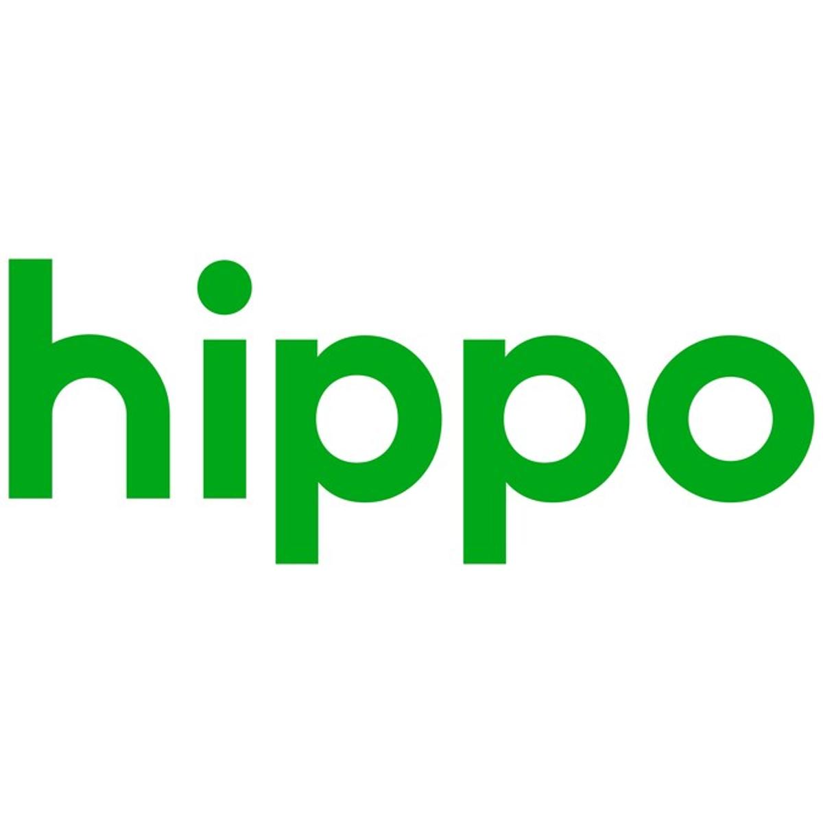 Hippo ‘Off to a Fast Start’ With Reversal of Q1 Loss a Year Ago
