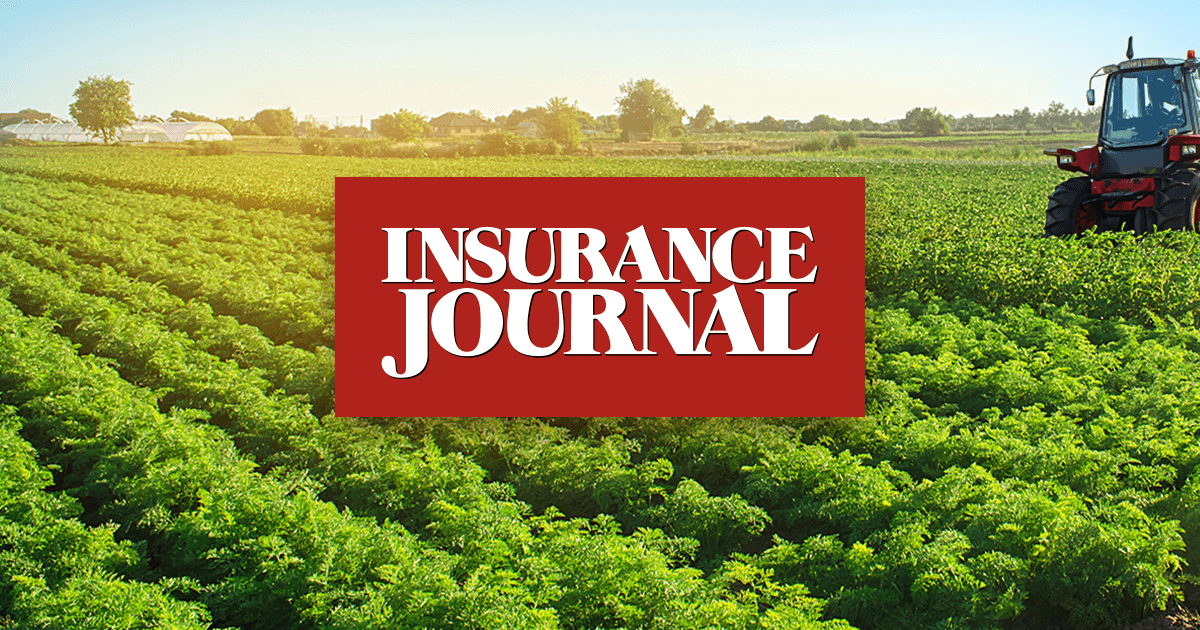 Wheat Crops Wither, Herds Thin as Spring Drought Deepens