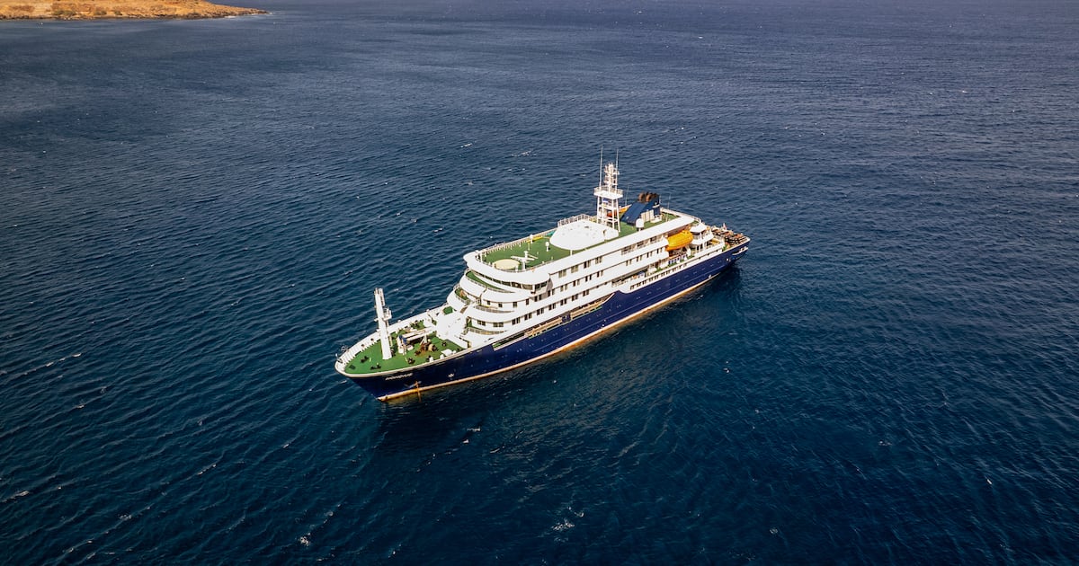 ‘He Was Deceased on the Ship for Several Days’: Irishwoman Describes Hantavirus Outbreak