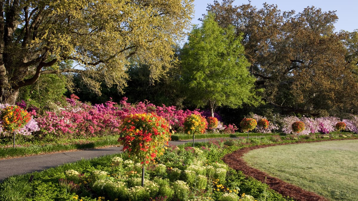 Alabama's Once-Thriving Fishing Lodge Is Now A Stunning Botanical Garden With Southern Charm And Lake Views
