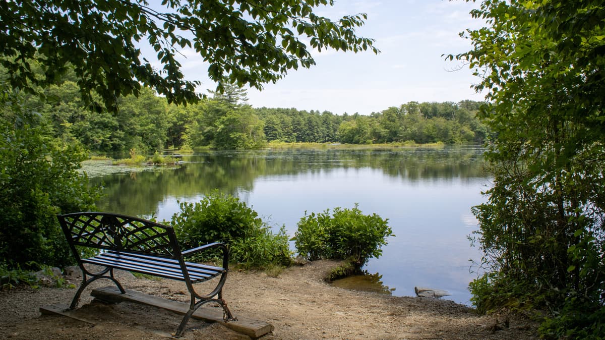 Between Boston And Providence Is Massachusetts' Lovely State Park With Scenic Trails And Pond Recreation