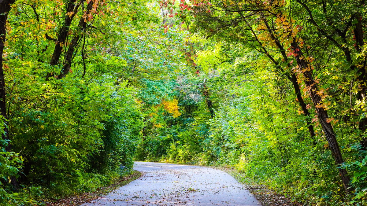 Between Detroit And Buffalo Is Canada's 'Gateway To Point Pelee National Park' With Tasty Eats, Parks, And Art