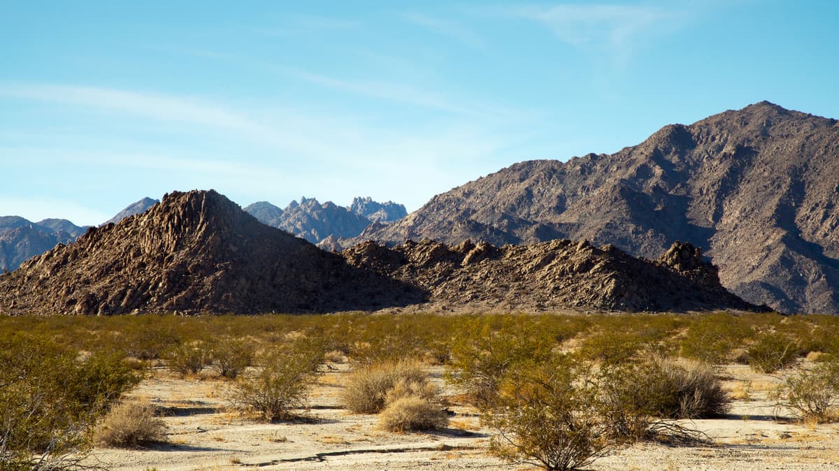 Between Joshua Tree And The Mojave Desert Is A Scenic California Nature Preserve With Mountain Views And Camping