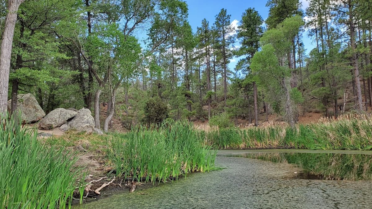 Between Phoenix And Prescott Is Arizona's Idyllic Mountain Park For Fishing, Camping, And Trails