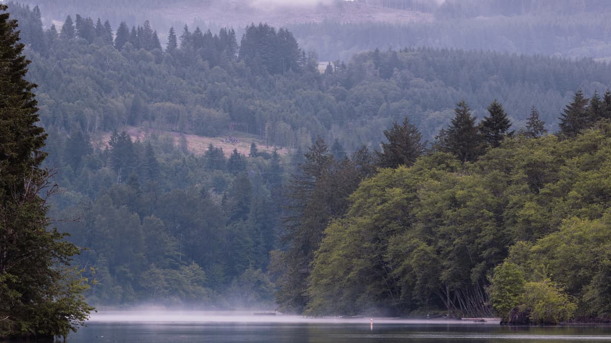 Between Seattle And Portland Is Washington's Lesser-Known Lake State Park With Idyllic Fishing And Camping