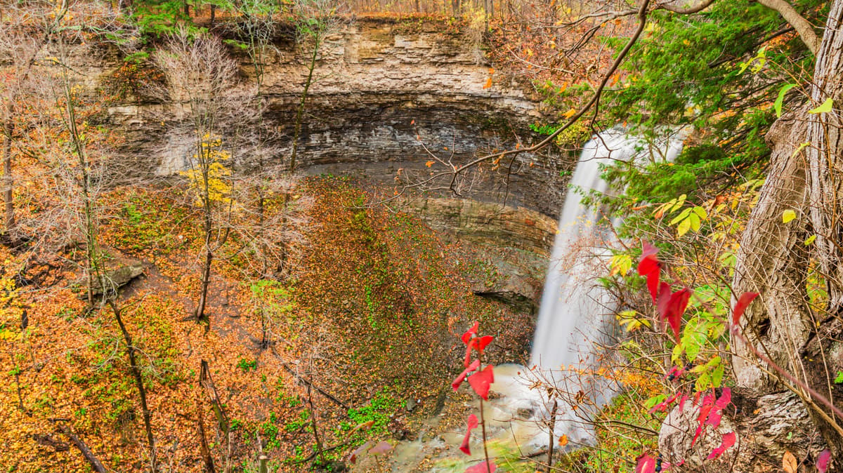 Between Toronto And Niagara Falls Is A Scenic Nature Preserve With Forest Beauty And A Hidden Waterfall Trail