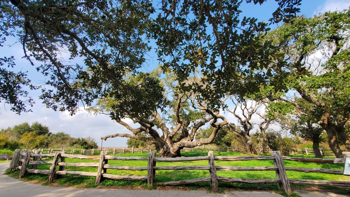 Between Victoria And Corpus Christi Is Texas' Retirement Haven With A Dazzling Gulf Island State Park