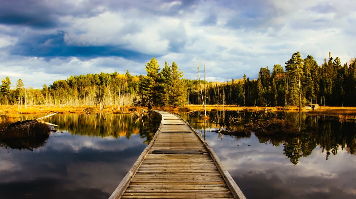 Canada's 'Gateway To Ontario's Wilderness' Is A Northern Municipality With Lake Fun, Islands, And Scenic Drives