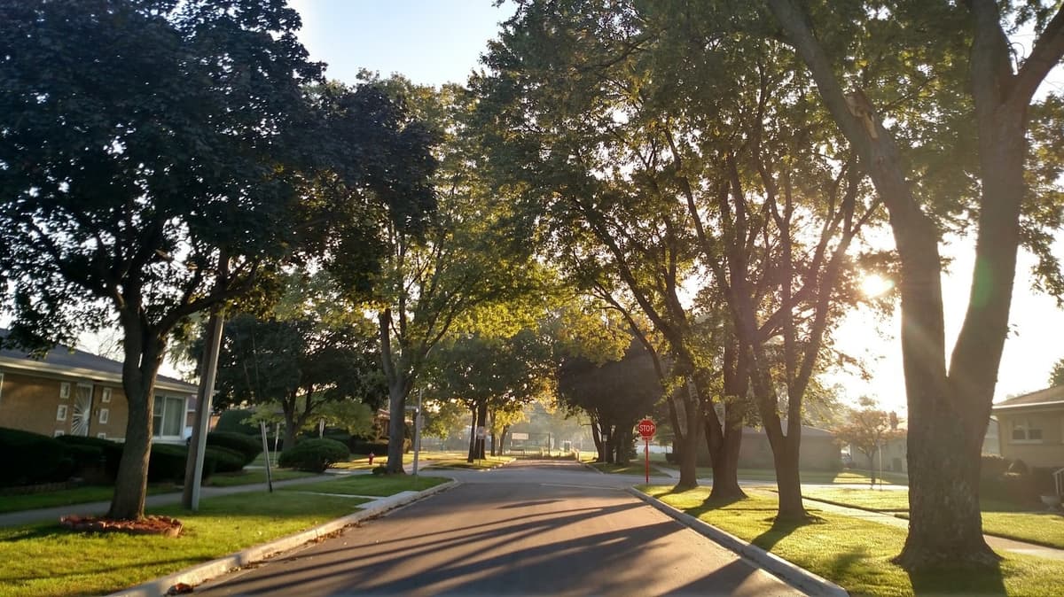 Chicago's Family-Friendly Suburb Is A Nostalgic Gem Filled With A Picturesque Nature Preserve And Parks