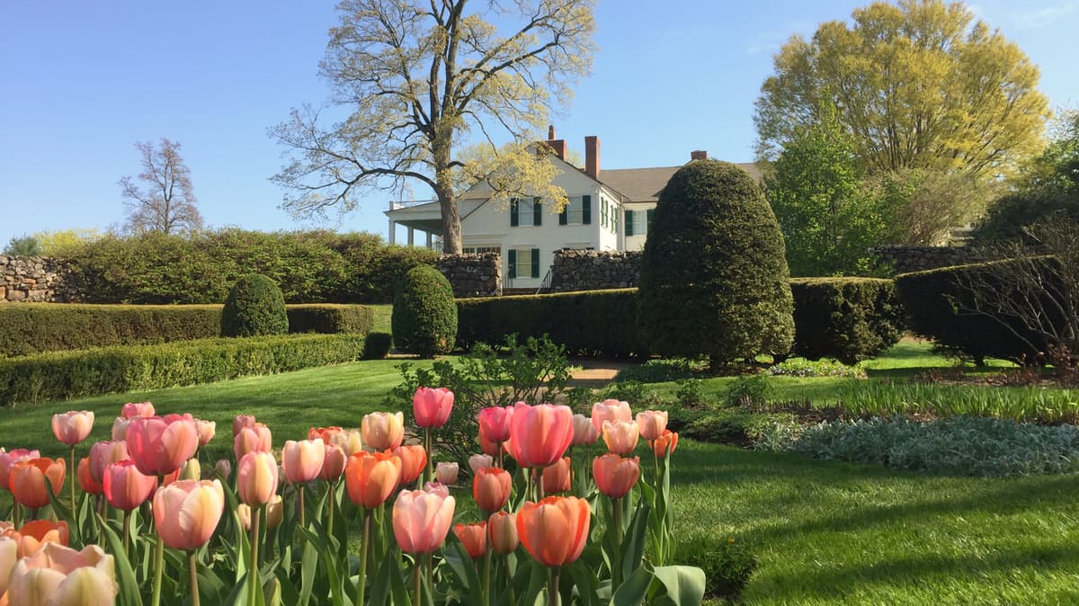 Connecticut's Nostalgic New England Town Has Unique Museums, Fun Parks, And Charming Vibes