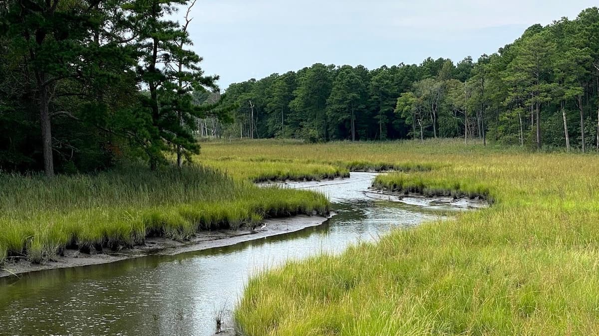 Delaware's 8-Mile Trail Connects Two Charming Beach Towns With Shopping And Wildlife Along The Way