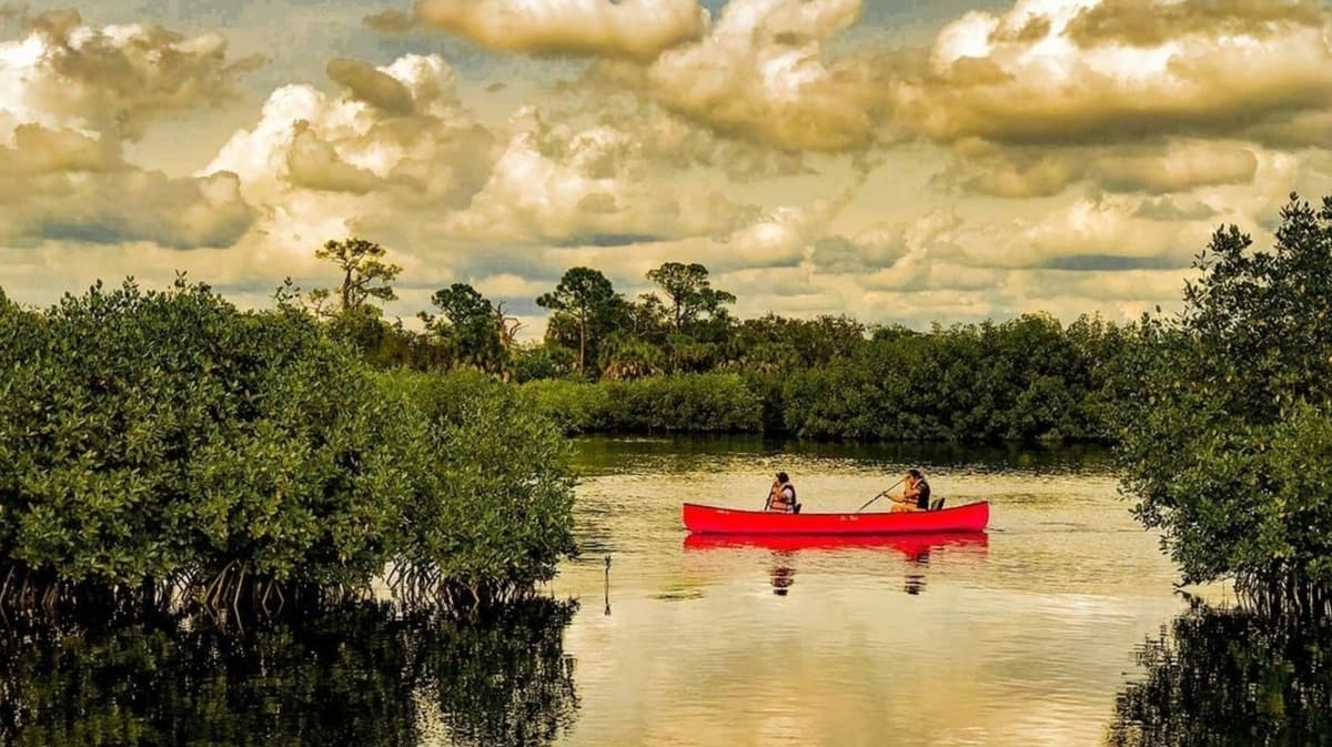 Florida's Gorgeous Park In Tampa Has Boardwalk Trails, Kayaking, And Wildlife Encounters