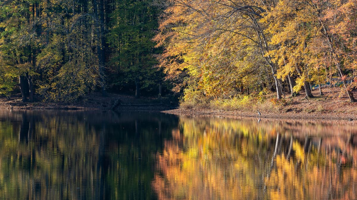 Halfway Between Baltimore And DC Is Maryland's Scenic Watershed For An Idyllic Suburban Escape With Recreation