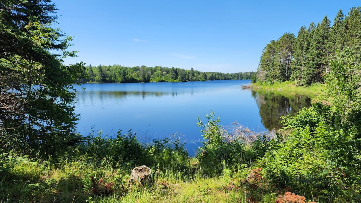 Northwestern Minnesota's State Park Is A Hidden Gem With A Bog Boardwalk, Loon Viewing, And Camping