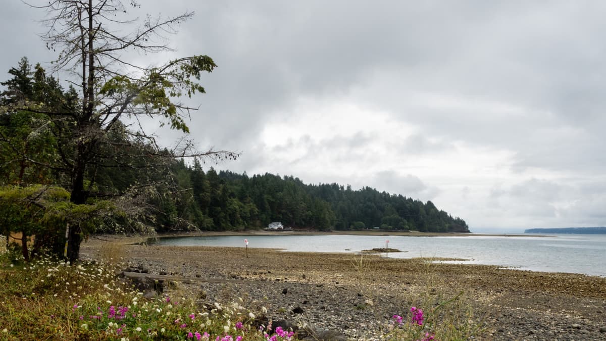 Hood Canal's 'Premier Fishing And Diving Gateway' Is A Washington State Park For Water Adventures