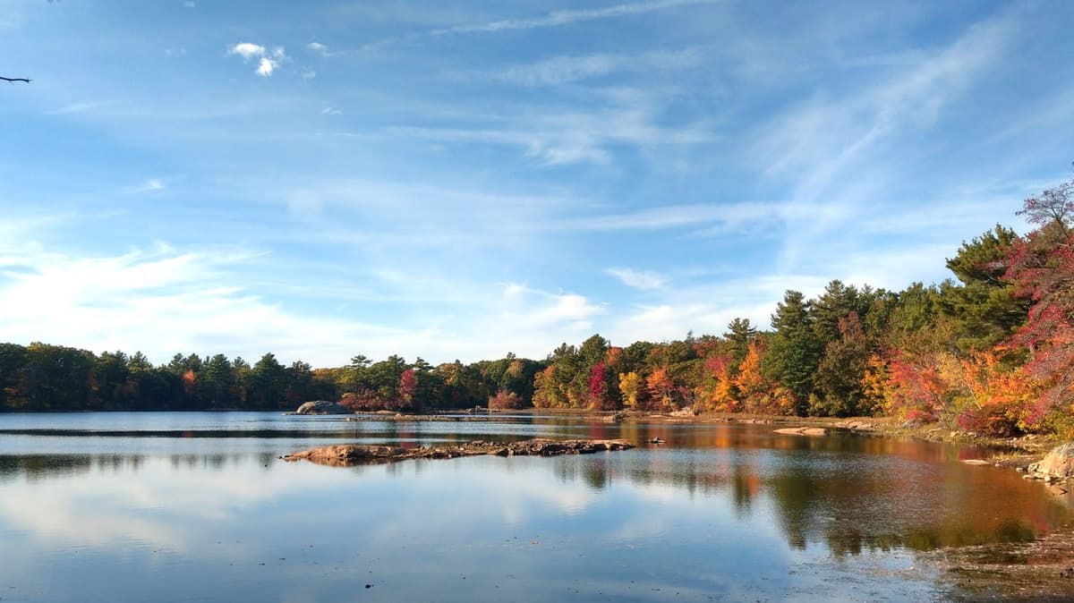 Massachusetts' Scenic State Park Near Boston Is A Peaceful Gem With Lakes, Trails, And Fishing