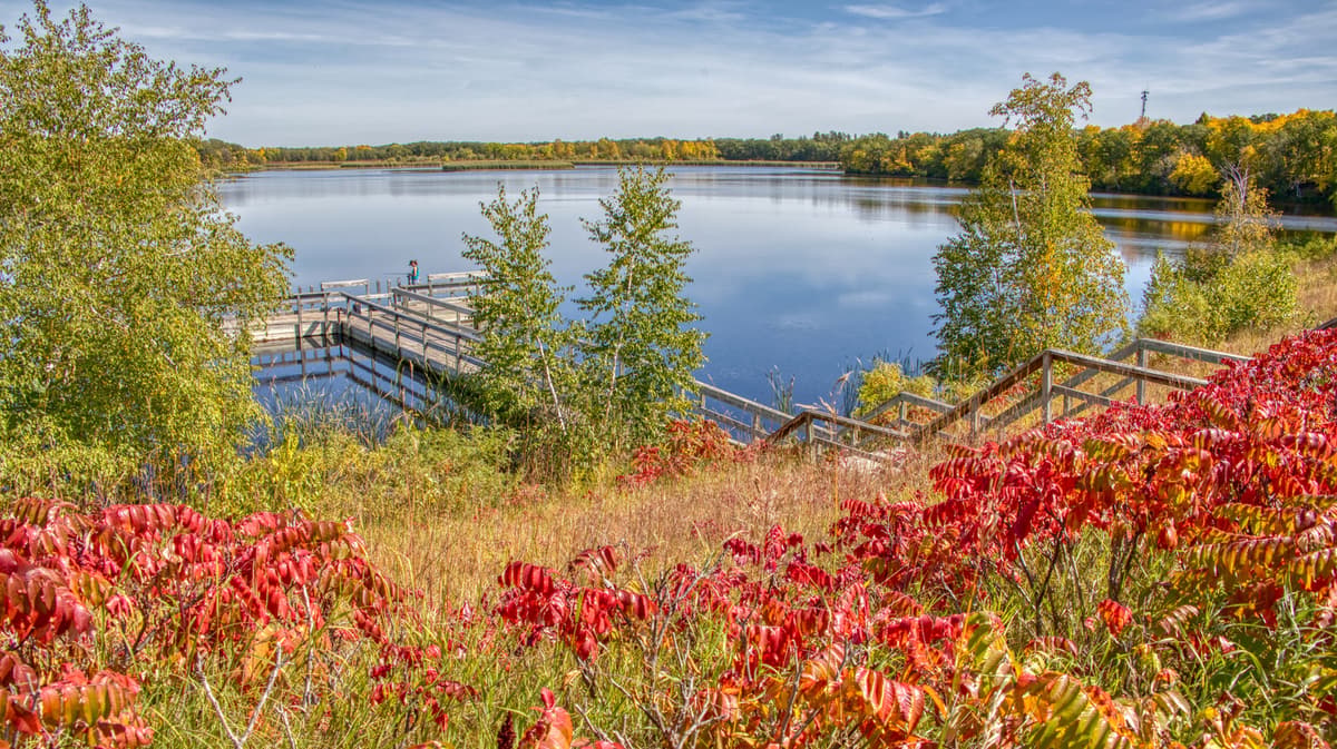 Minnesota's Largest State Park Observation Tower Is In A Lakeside Destination Near The Canadian Border