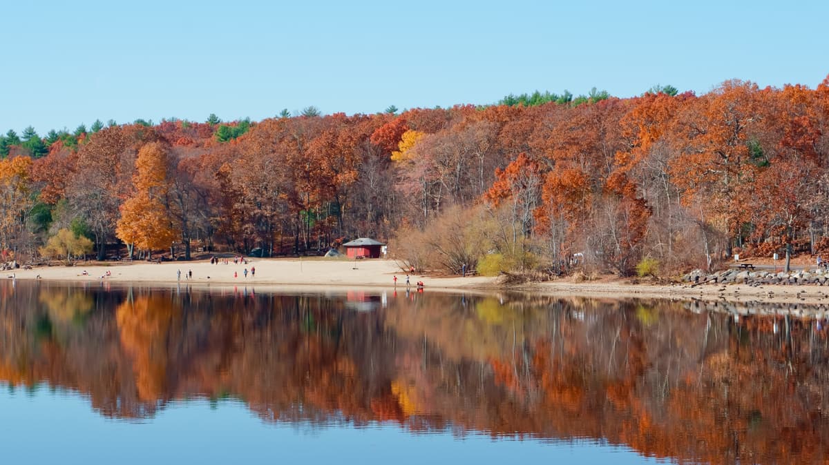 Nestled Between Boston And Worcester Is Massachusetts' Lovely State Park For Trails, Fishing, And Paddling