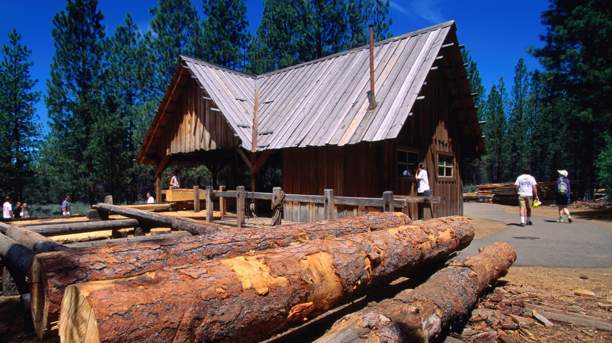 Oregon's Fast-Growing Museum Full Of Wildlife Is One Of The Best Things To Do In Bend