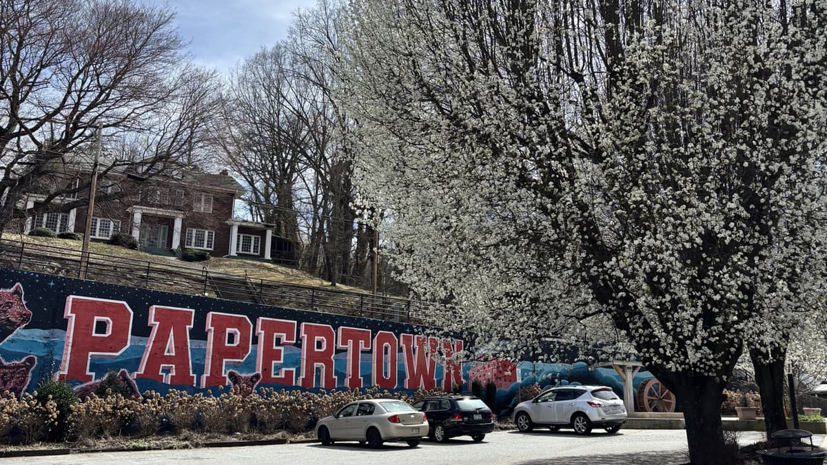 Just Outside Asheville Is A Resilient North Carolina Town With A Historic Main Street And Outdoor Access