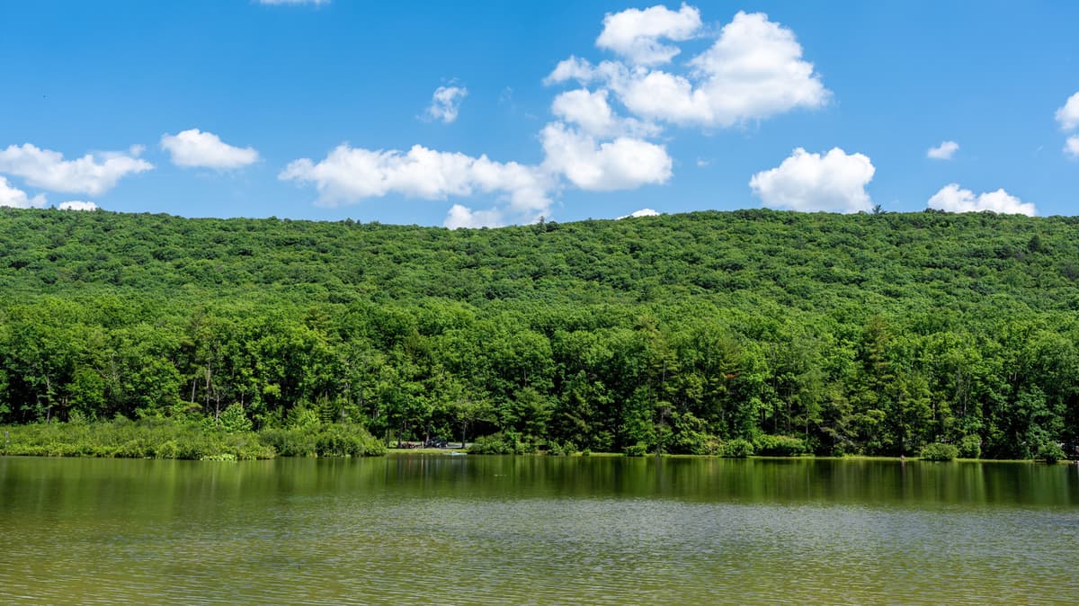 Pennsylvania's Serene State Park Is The Perfect Place For Lake Swimming, Paddling, And Fishing