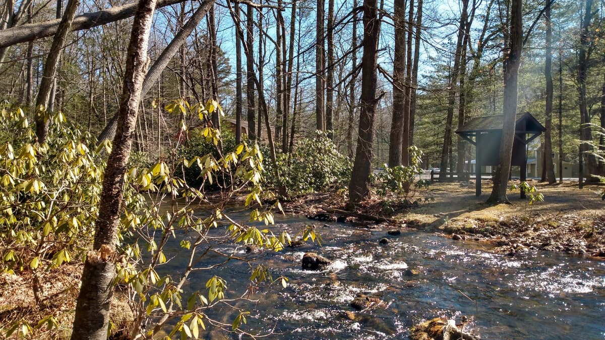 Pennsylvania's Smallest State Park Is A Roadside Gem For Fishing And Picnicking Hidden In A State Forest