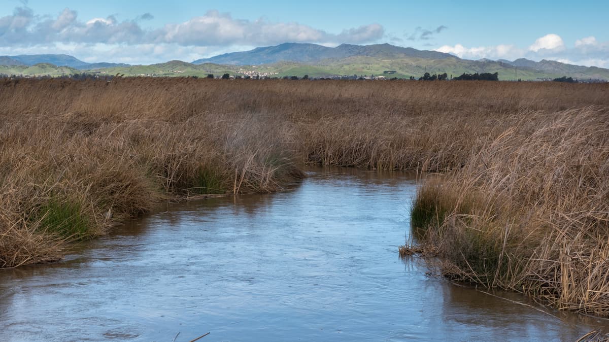 Sandwiched Between San Francisco And Sacramento Is California's Wildlife Area With Fishing And Scenic Trails