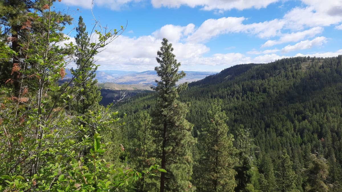 Situated Between Spokane And Tacoma Is Washington's Mountainous State Park With Trails For Hiking And Biking