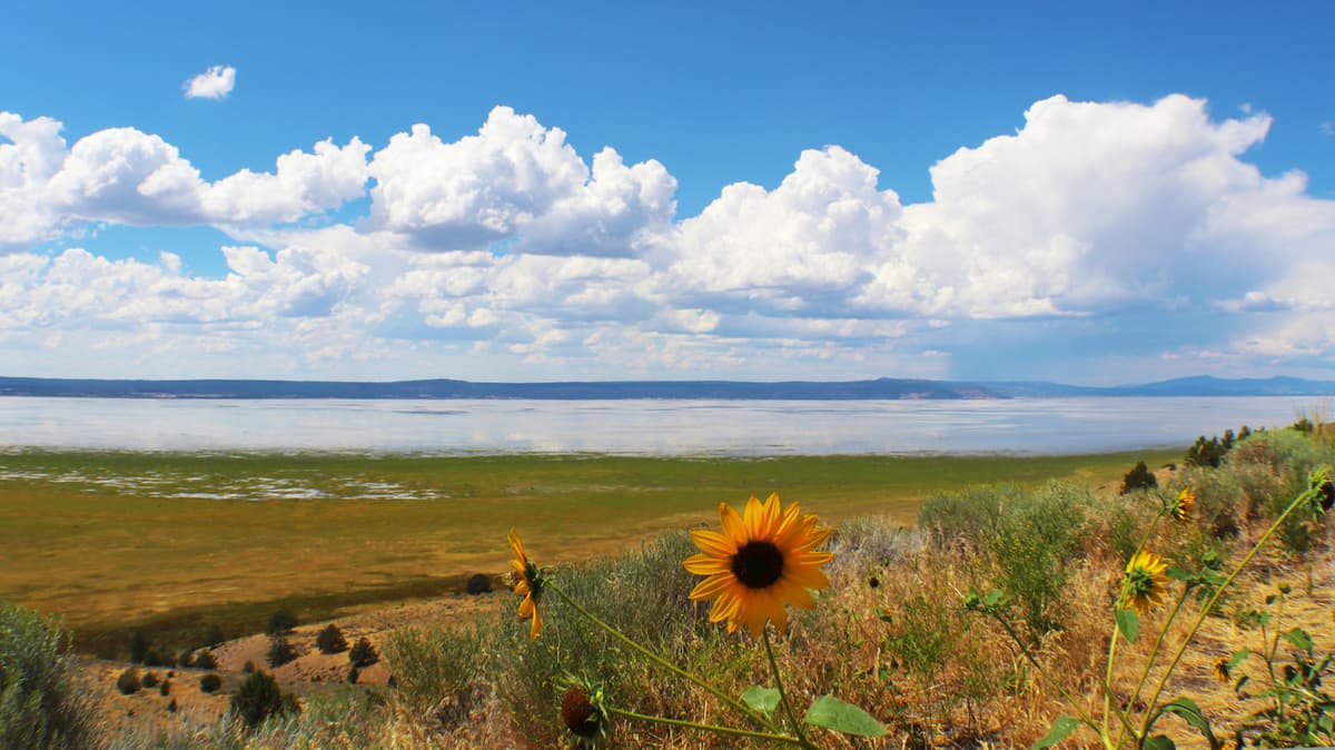 Southern Oregon's Saltwater Lake Is A Remote Basin With Migrating Birds And Stunning Mountain Views