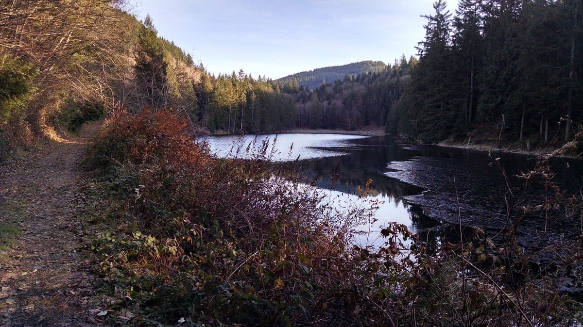 Sandwiched Between Vancouver And Seattle Is Washington's Underrated Park For Scenic Lake Fishing And Hiking