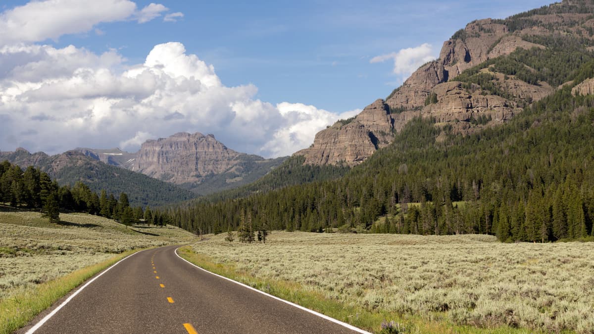 The Best RV Camping Site With Easy Access To Yellowstone National Park, According To Campers