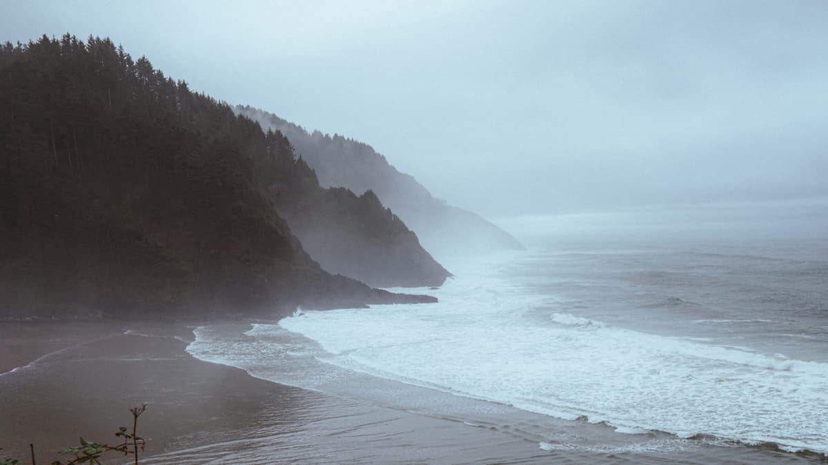 The Oregon Coast's Forested State Park Has Camping, Miles Of Trails, And A Beach With Whale Watching
