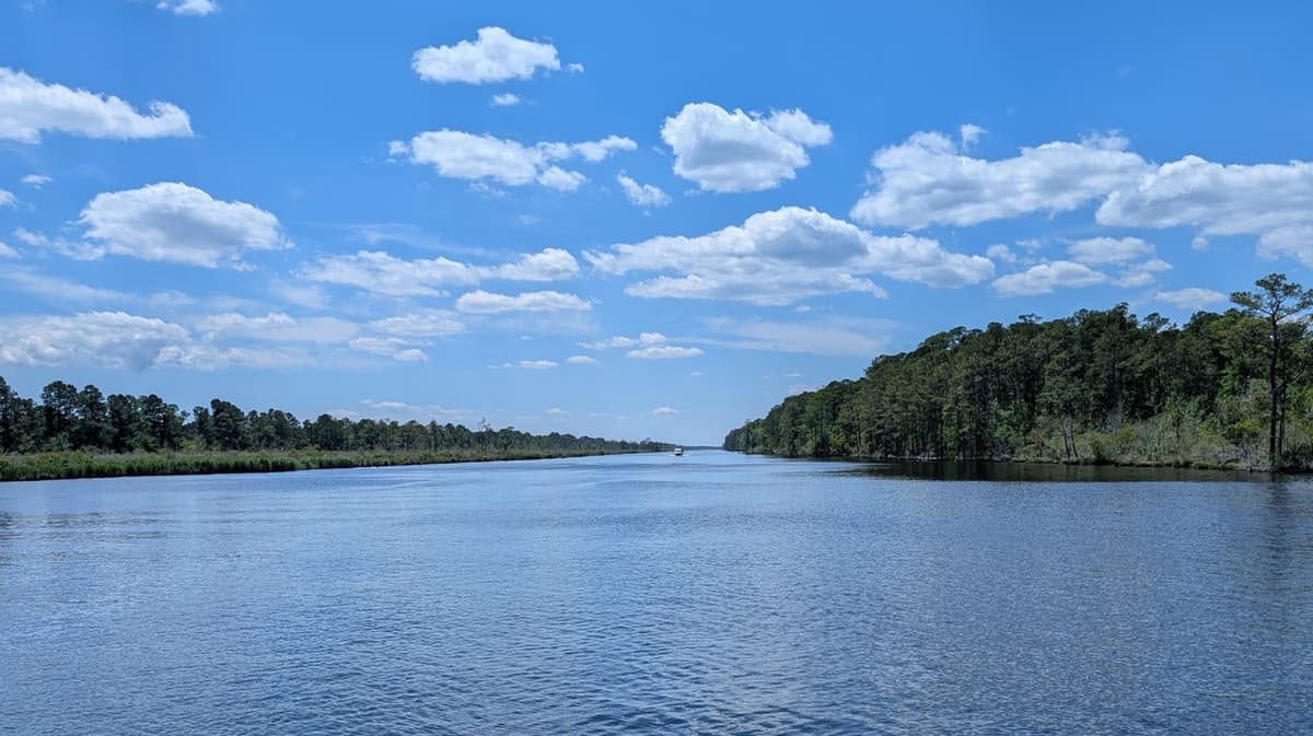 This North Carolina Reserve Is A Swampy East Coast Haven Full Of Native Plants, Rare Wolves, And Alligators