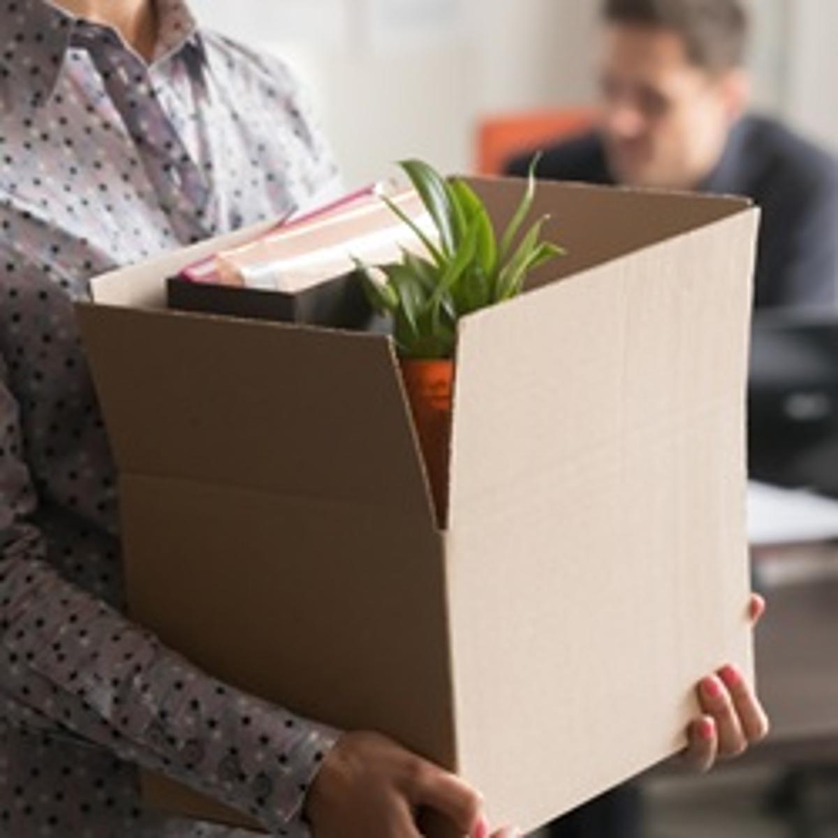 Using Legal Choices “Improves Understanding”