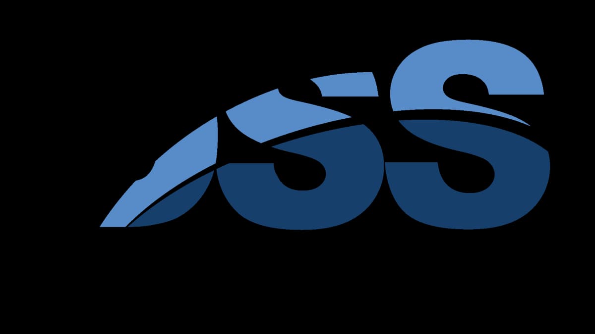 DSS, Inc. Reports Going Concern Audit Opinion in 2025 10-K Filing