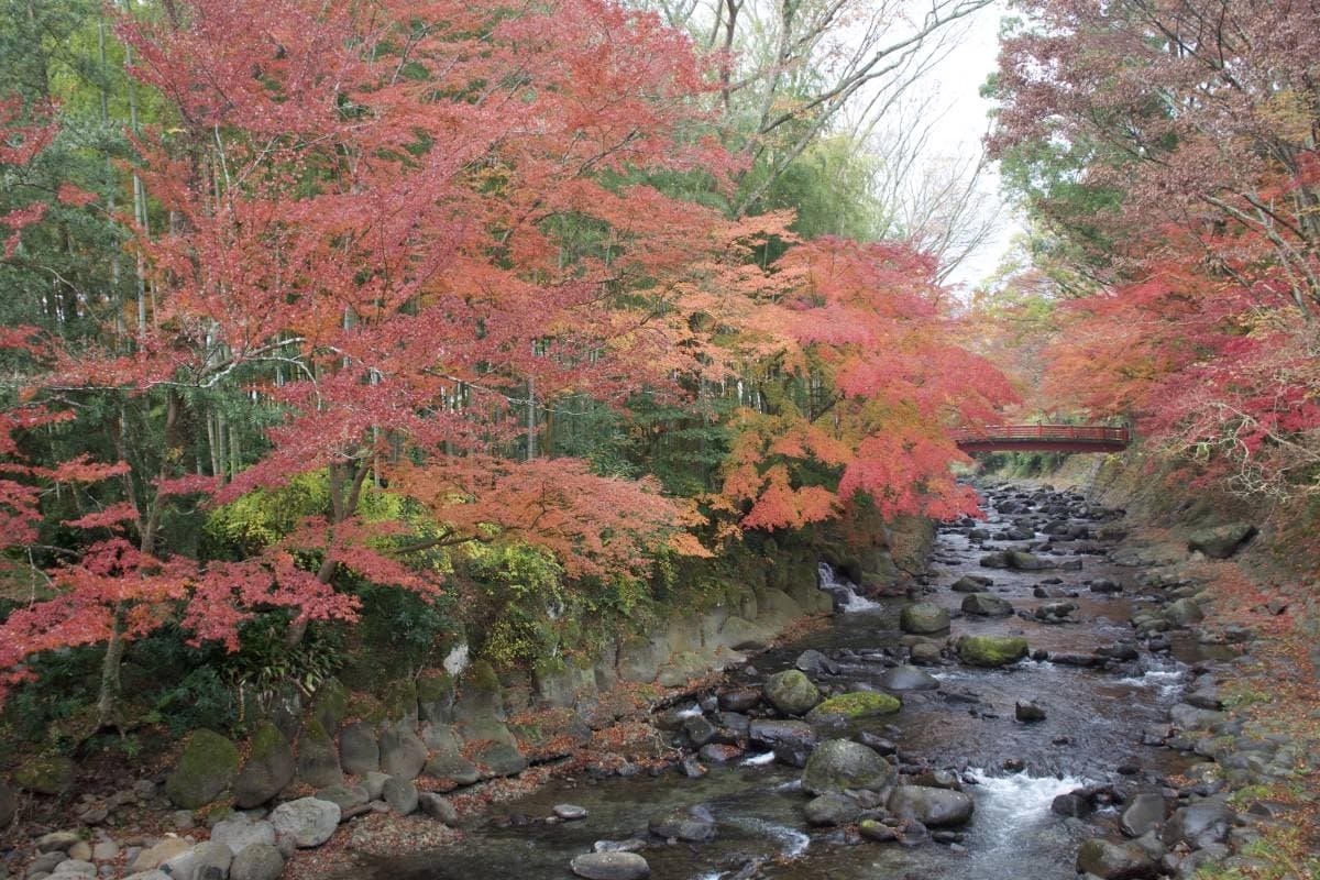 Chasing Japan’s Autumn Foliage on Foot