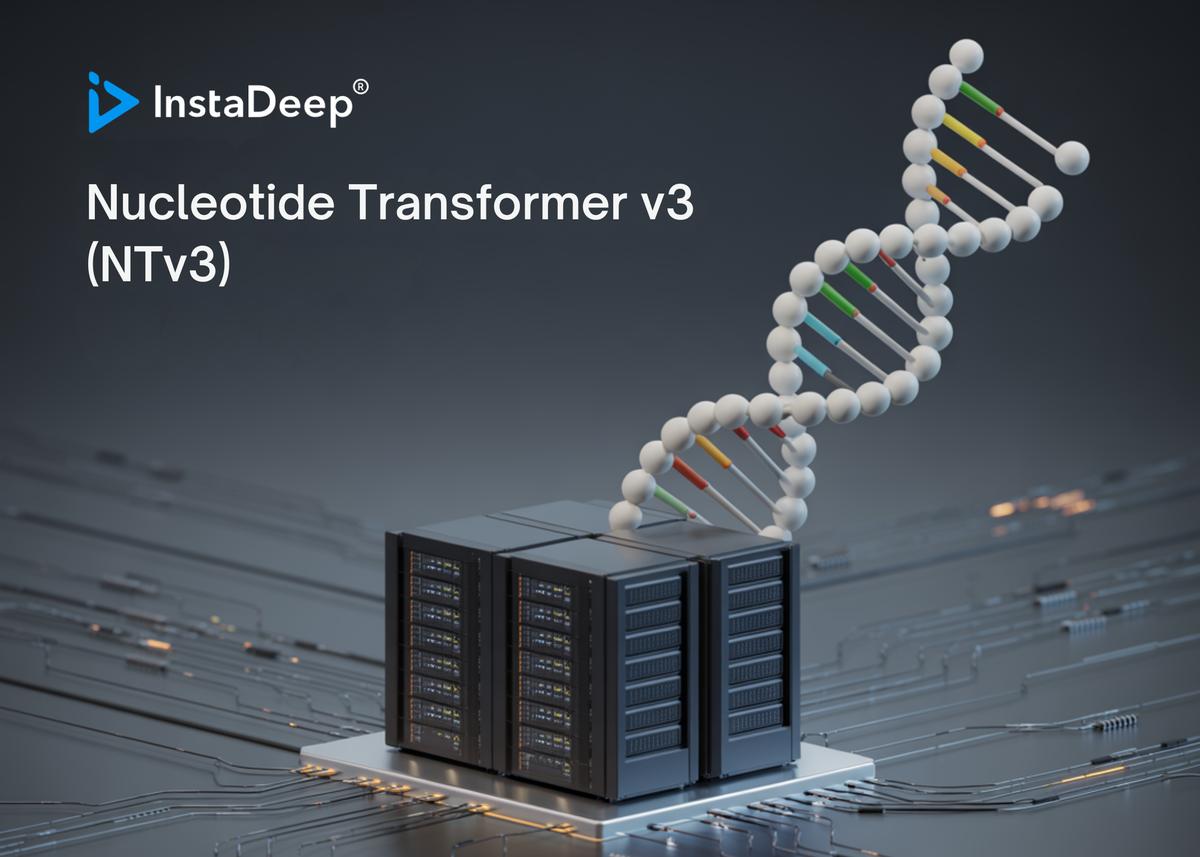 InstaDeep Introduces Nucleotide Transformer V3 (NTv3): A New Multi-Species Genomics Foundation Model, Designed for 1 Mb Context Lengths at Single-Nucleotide...