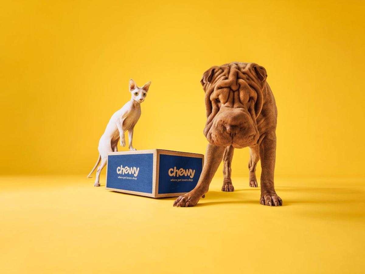 Inside Chewy’s Push to Build a Pet-Focused Retail Media Network