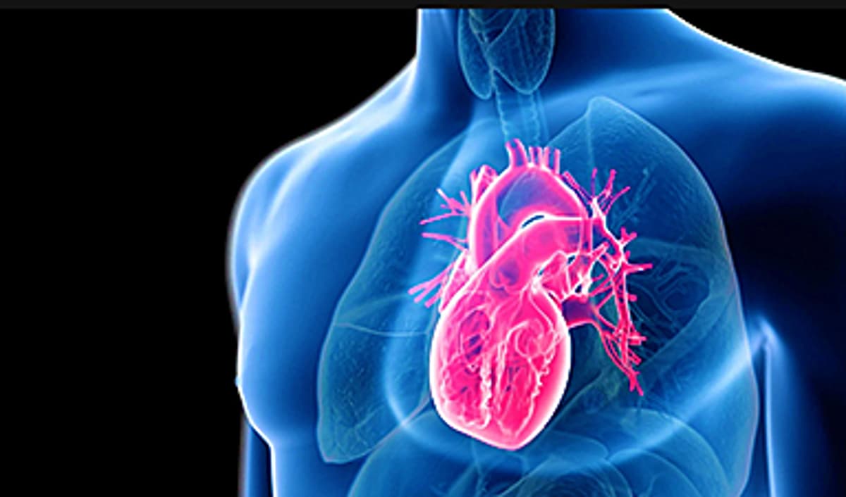 Scientists Say This Simple Supplement May Actually Reverse Heart Disease