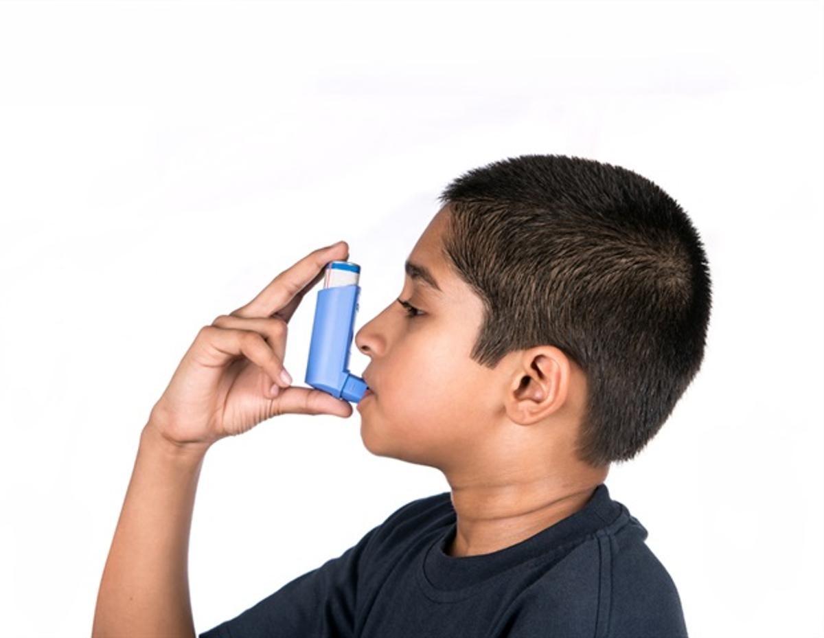 Asthma Medication Formoterol Shows Promise for Treating Fatty Liver Disease